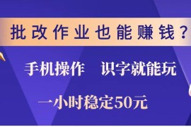 批改作业也能赚钱？0门槛手机项目，识字就能玩！一小时稳定50元！