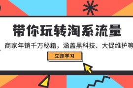带你玩转淘系流量，商家年销千万秘籍，涵盖黑科技、大促维护等