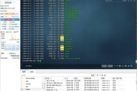 SSH工具远程桌面软件